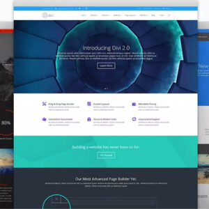 🥇[DOWNLOAD] Elegant Themes Divi WordPress Theme + Layouts 4.7.7 ...