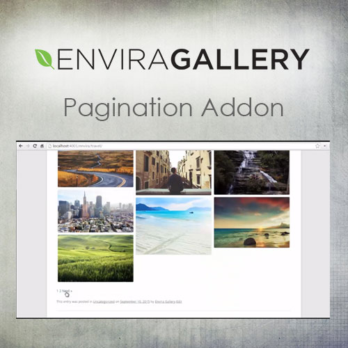 🥇[DOWNLOAD] Envira Gallery – CSS Addon 1.3.7 ThemePlugin.Org