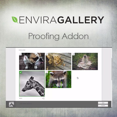 🥇[DOWNLOAD] Envira Gallery – Gallery Themes Addon 2.0.6 ThemePlugin.Org