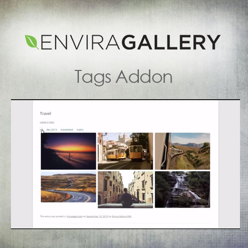 🥇[DOWNLOAD] Envira Gallery – Tags Addon 1.8.4 ThemePlugin.Org