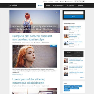 🥇[DOWNLOAD] MyThemeShop Schema WordPress Theme 3.9.23 ThemePlugin.Org